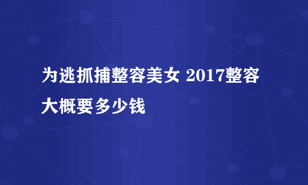 为逃抓捕整容美女 2017整容大概要多少钱