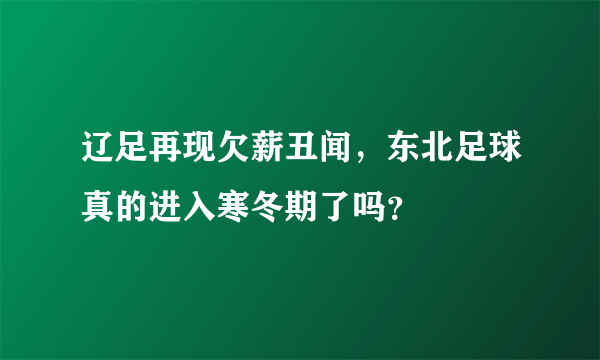 辽足再现欠薪丑闻，东北足球真的进入寒冬期了吗？