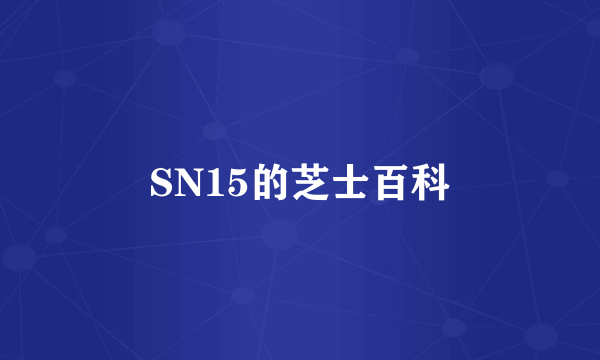 SN15的芝士百科