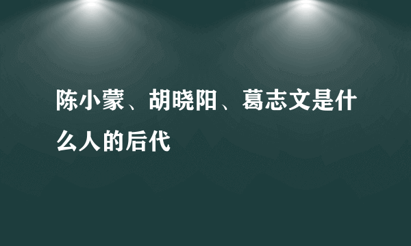 陈小蒙、胡晓阳、葛志文是什么人的后代