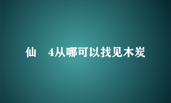 仙劍4从哪可以找见木炭