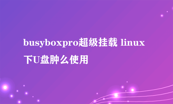 busyboxpro超级挂载 linux下U盘肿么使用