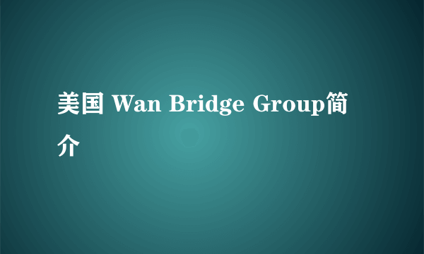 美国 Wan Bridge Group简介