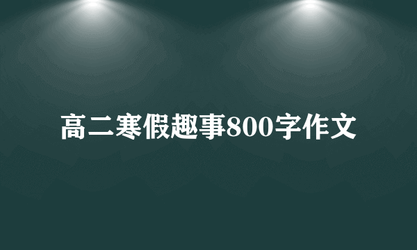 高二寒假趣事800字作文