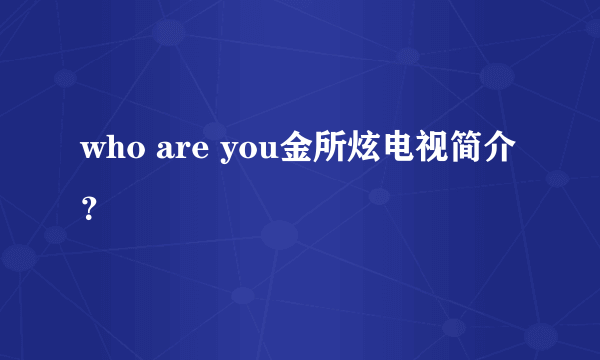 who are you金所炫电视简介？