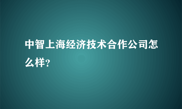 中智上海经济技术合作公司怎么样？