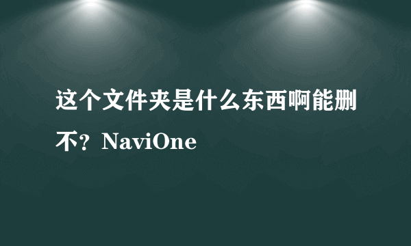 这个文件夹是什么东西啊能删不？NaviOne