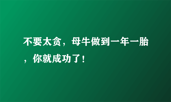 不要太贪，母牛做到一年一胎，你就成功了！