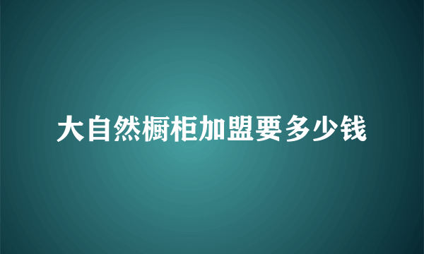 大自然橱柜加盟要多少钱