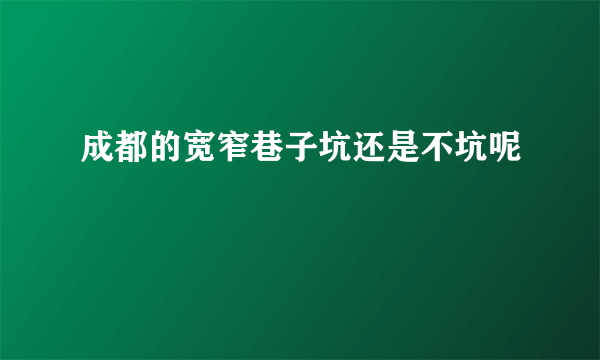 成都的宽窄巷子坑还是不坑呢