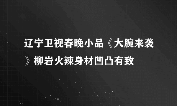 辽宁卫视春晚小品《大腕来袭》柳岩火辣身材凹凸有致