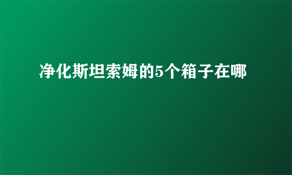 净化斯坦索姆的5个箱子在哪