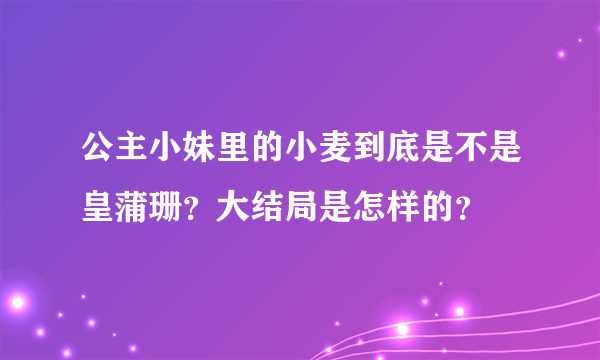 公主小妹里的小麦到底是不是皇蒲珊？大结局是怎样的？