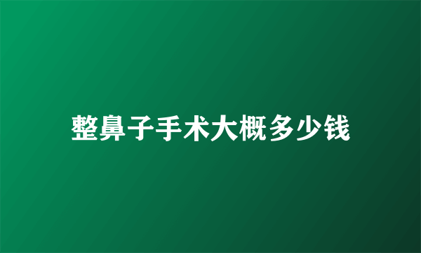 整鼻子手术大概多少钱