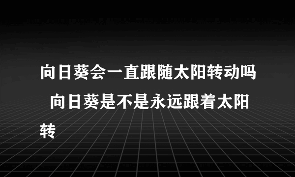 向日葵会一直跟随太阳转动吗  向日葵是不是永远跟着太阳转