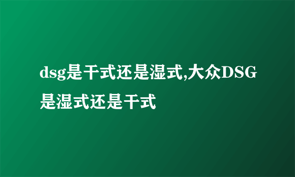 dsg是干式还是湿式,大众DSG是湿式还是干式