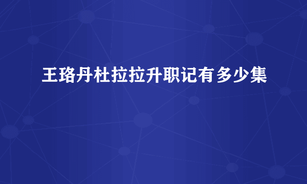 王珞丹杜拉拉升职记有多少集