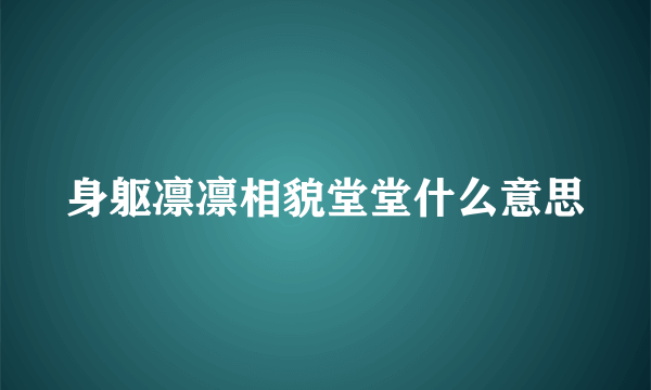 身躯凛凛相貌堂堂什么意思