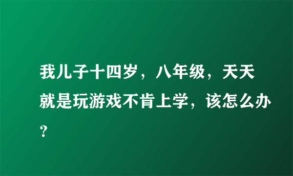 我儿子十四岁，八年级，天天就是玩游戏不肯上学，该怎么办？