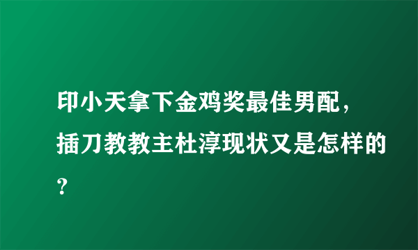 印小天拿下金鸡奖最佳男配，插刀教教主杜淳现状又是怎样的？