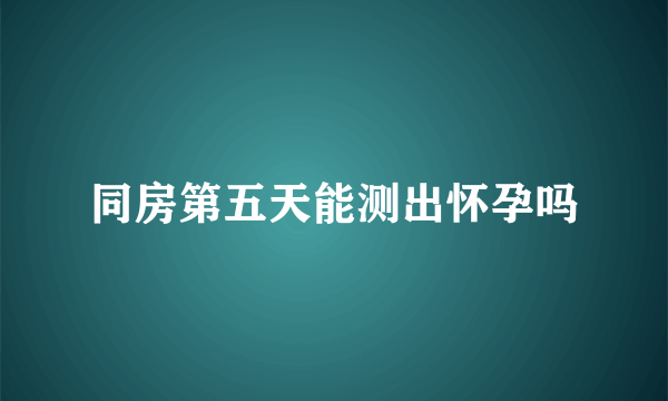 同房第五天能测出怀孕吗