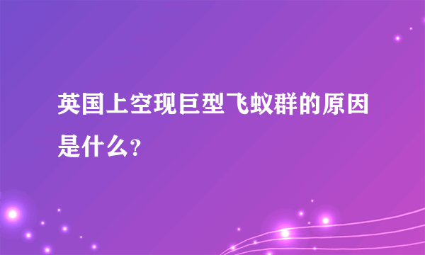 英国上空现巨型飞蚁群的原因是什么？