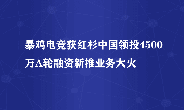 暴鸡电竞获红杉中国领投4500万A轮融资新推业务大火