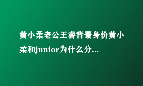 黄小柔老公王睿背景身价黄小柔和junior为什么分手-飞外