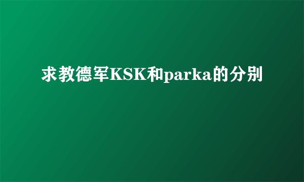 求教德军KSK和parka的分别