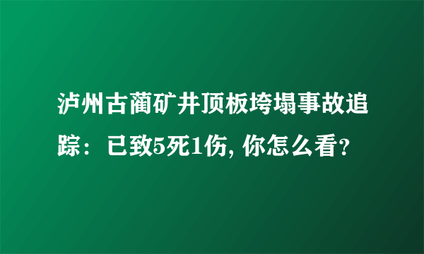 泸州古蔺矿井顶板垮塌事故追踪：已致5死1伤, 你怎么看？