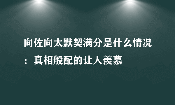 向佐向太默契满分是什么情况：真相般配的让人羡慕