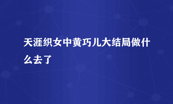 天涯织女中黄巧儿大结局做什么去了