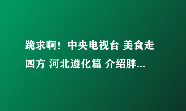 跪求啊！中央电视台 美食走四方 河北遵化篇 介绍胖星儿的那个背景男主持的是谁啊，他还主持过那些节目啊