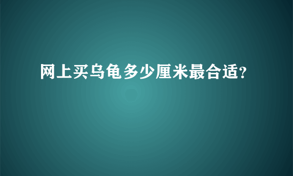 网上买乌龟多少厘米最合适？