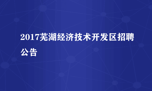 2017芜湖经济技术开发区招聘公告