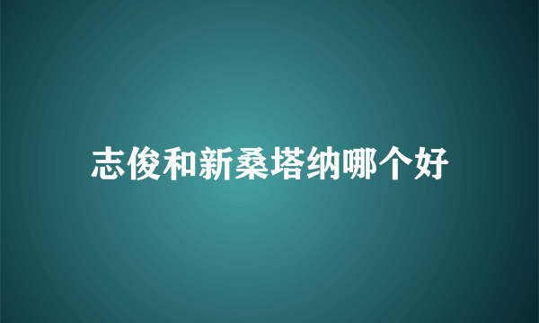 志俊和新桑塔纳哪个好