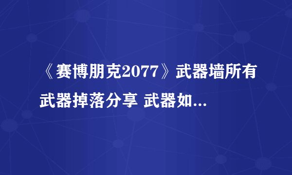 《赛博朋克2077》武器墙所有武器掉落分享 武器如何挂墙上