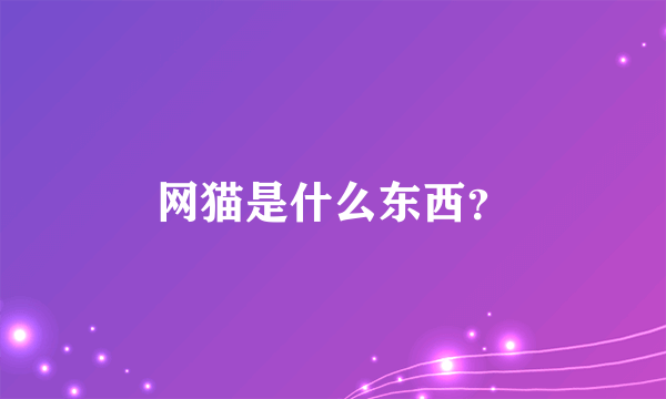 网猫是什么东西？