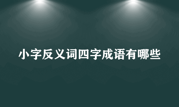 小字反义词四字成语有哪些