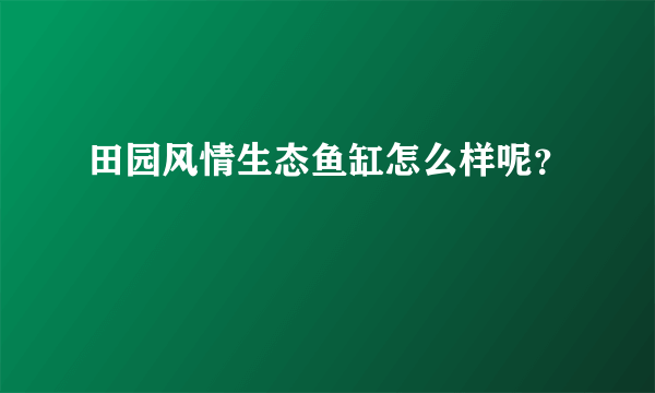 田园风情生态鱼缸怎么样呢？