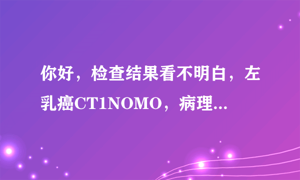 你好，检查结果看不明白，左乳癌CT1NOMO，病理简要：18