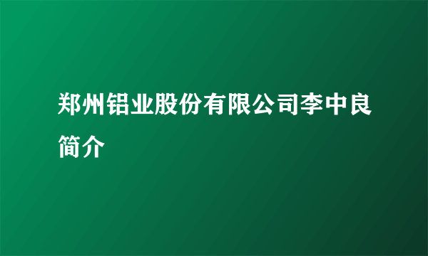 郑州铝业股份有限公司李中良简介