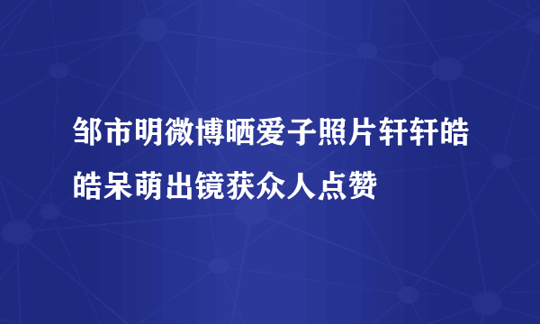 邹市明微博晒爱子照片轩轩皓皓呆萌出镜获众人点赞