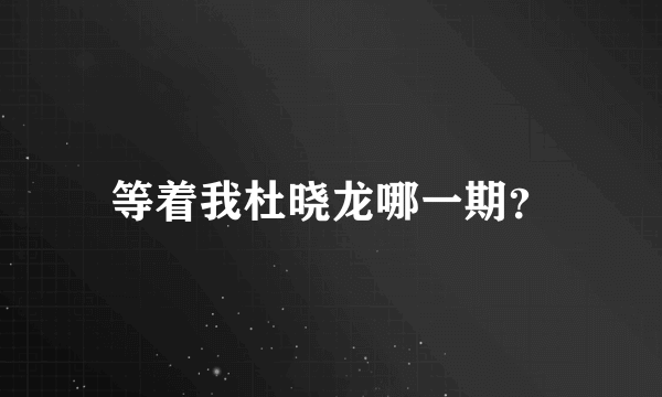 等着我杜晓龙哪一期？