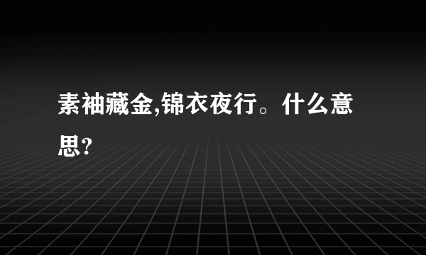 素袖藏金,锦衣夜行。什么意思?