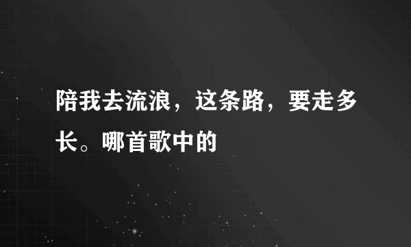 陪我去流浪，这条路，要走多长。哪首歌中的