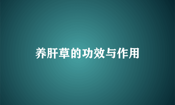 养肝草的功效与作用