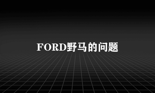 FORD野马的问题