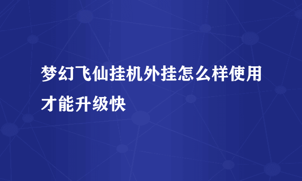 梦幻飞仙挂机外挂怎么样使用才能升级快