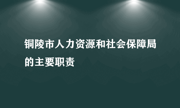 铜陵市人力资源和社会保障局的主要职责